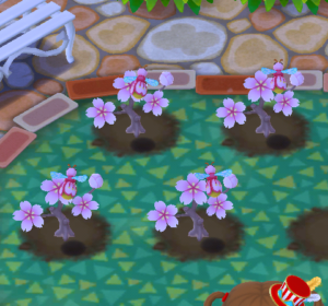 桜に集まるハチ