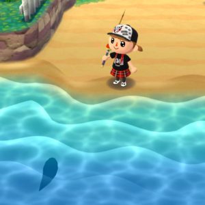 マンボウの魚影