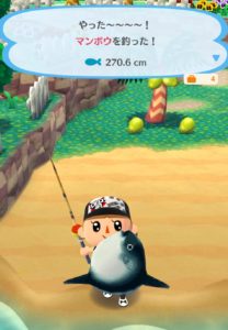 マンボウを釣った