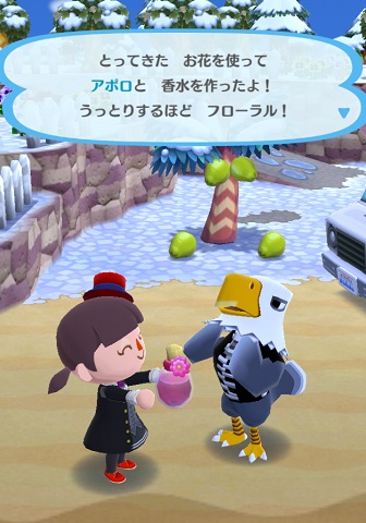 �A�|���̉摜