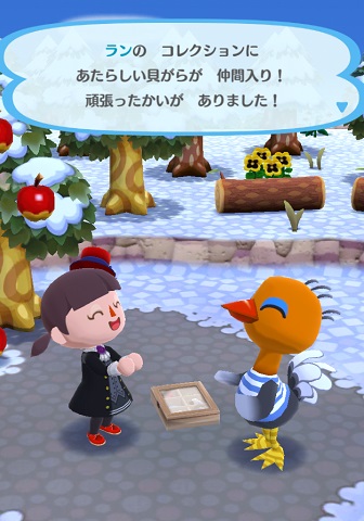 �����̉摜