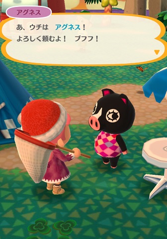 �A�O�l�X�̉摜